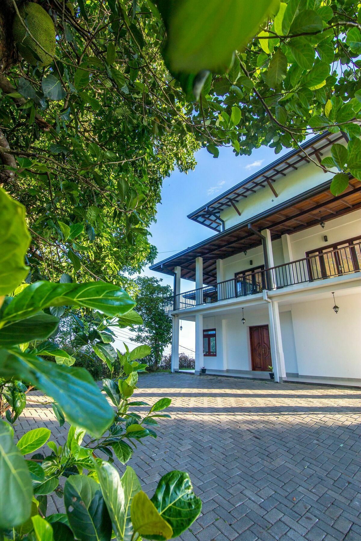 Jack Tree Lodge Канди Экстерьер фото